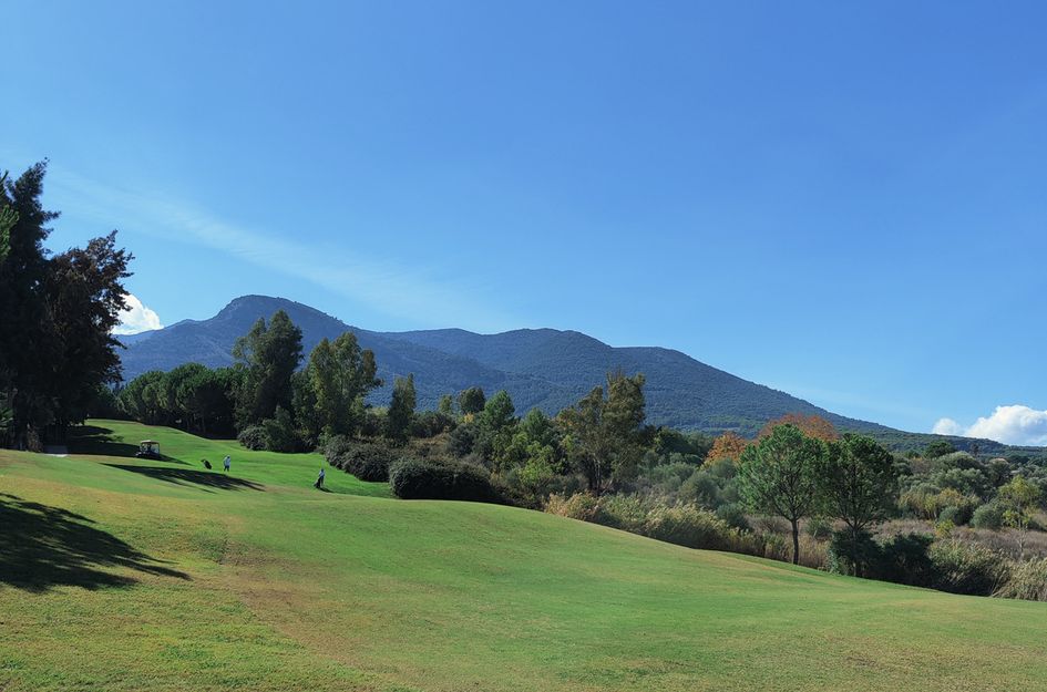 Villa in Alhaurín de la Torre