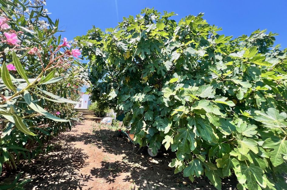 Villa in Urbanización Puerto de Estepona