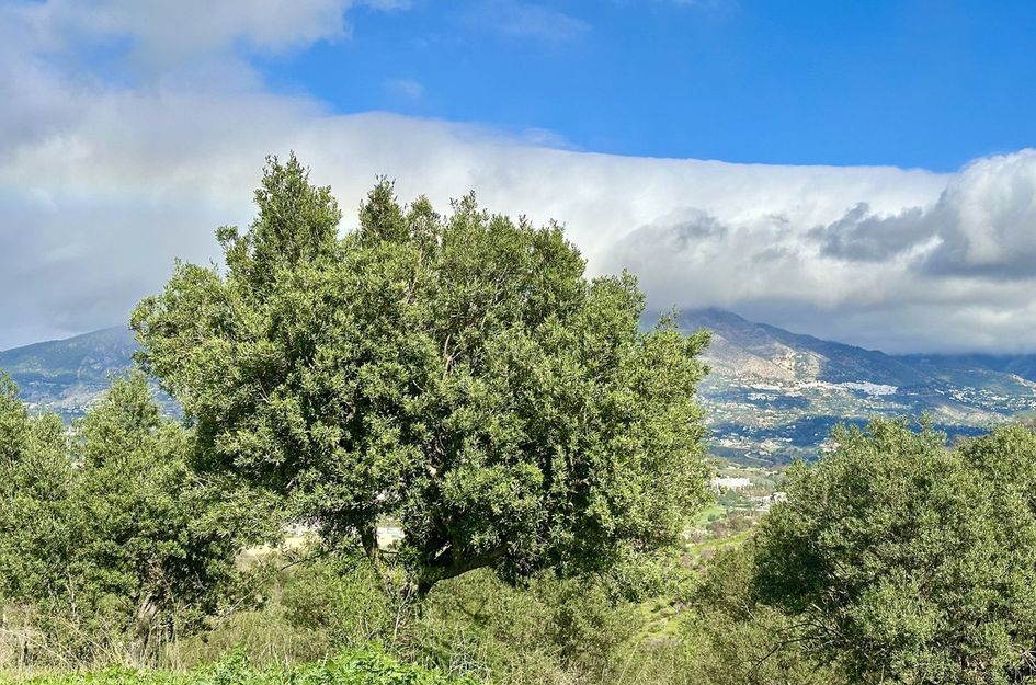 Perceel in La Cala de Mijas