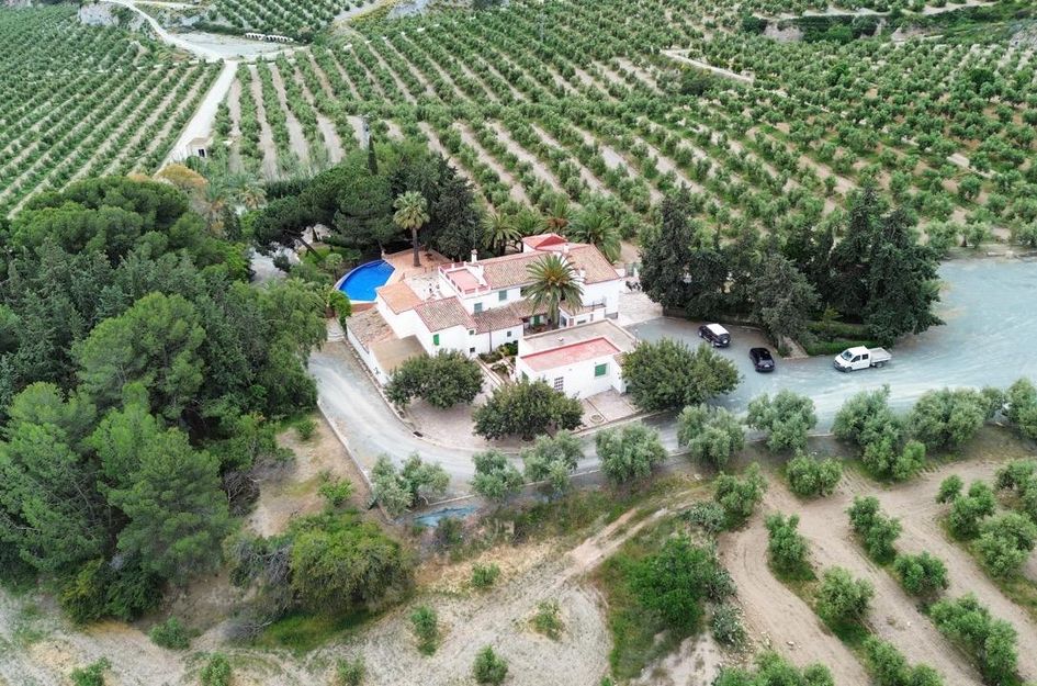 Perceel in Cañadas de San Pedro