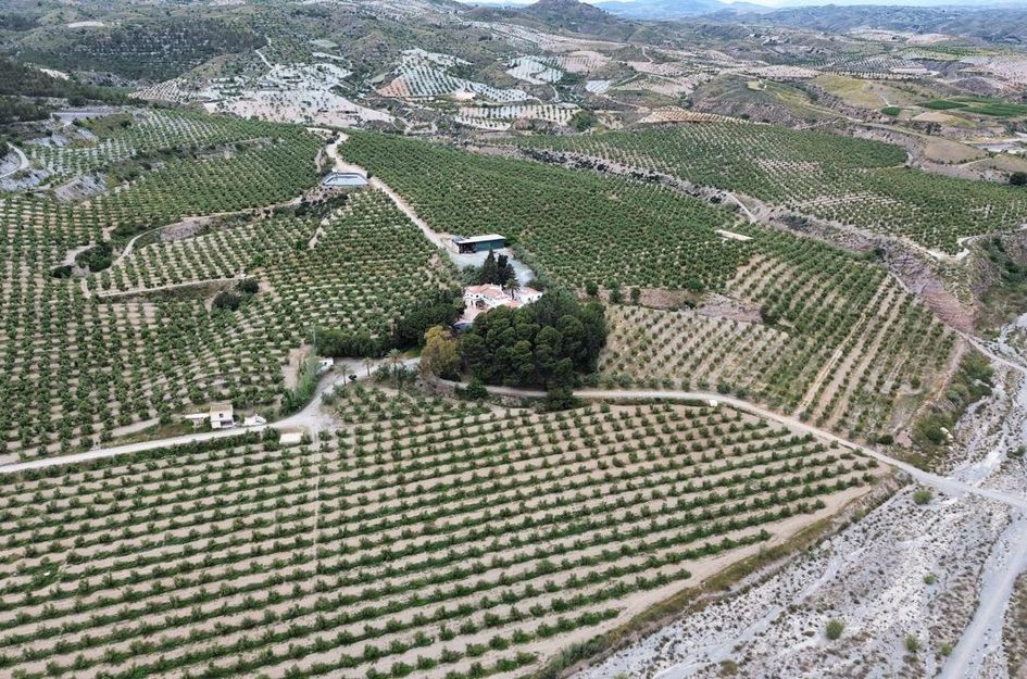 Perceel in Cañadas de San Pedro