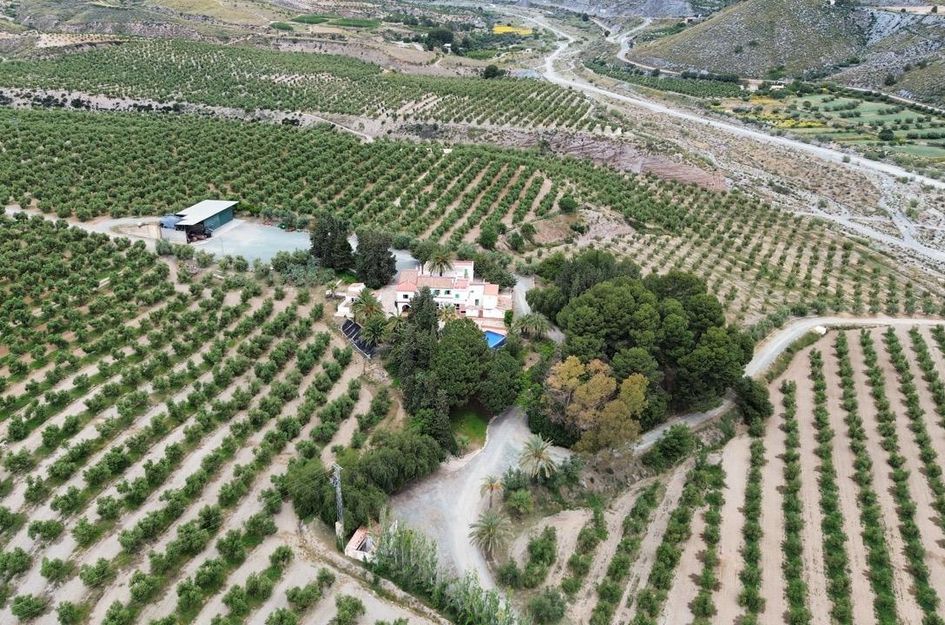 Perceel in Cañadas de San Pedro
