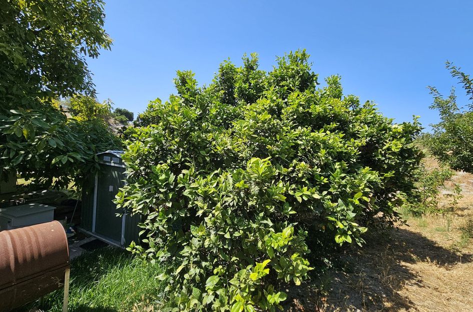 Villa in Casares
