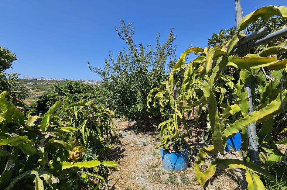 Villa in Casares