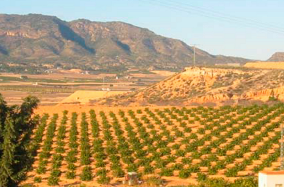 Perceel in Jerónimo y Avileses