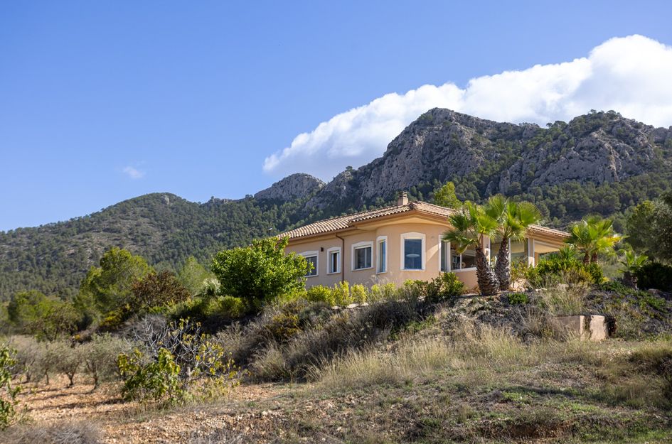 Villa in La Zarza