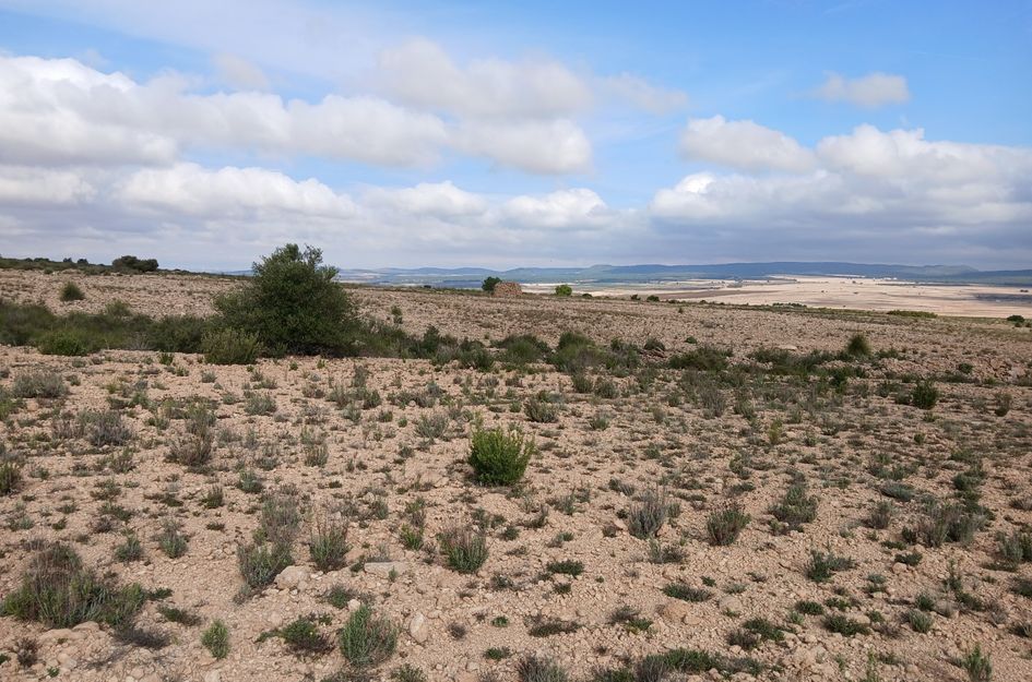 Perceel in Yecla