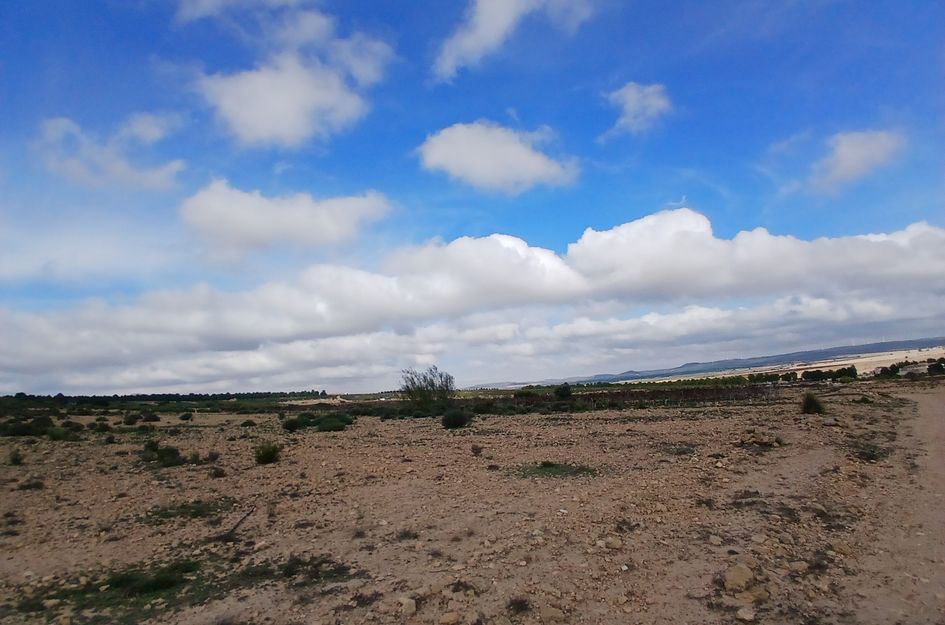 Perceel in Yecla