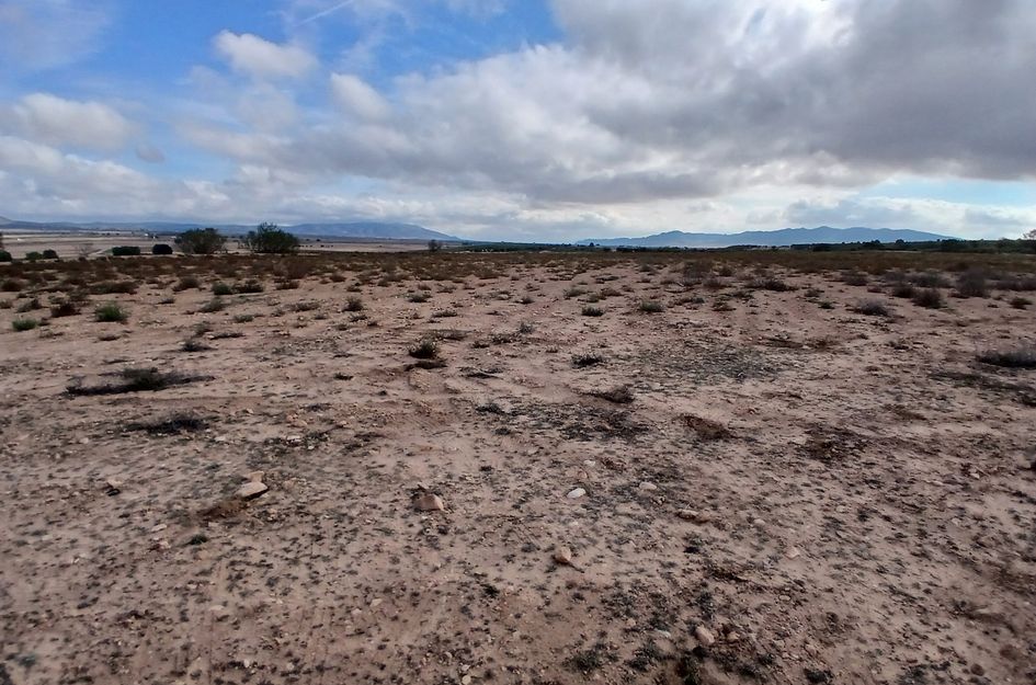 Perceel in Yecla
