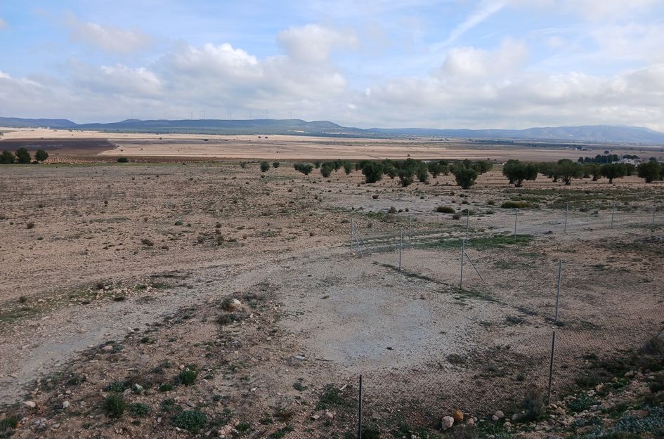 Perceel in Yecla