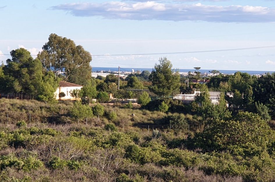 Perceel in La Florida