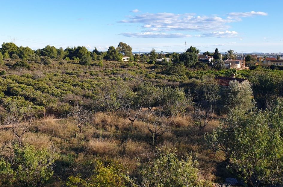 Perceel in La Florida