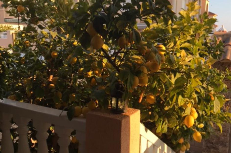 Villa in Puerto de Mazarrón