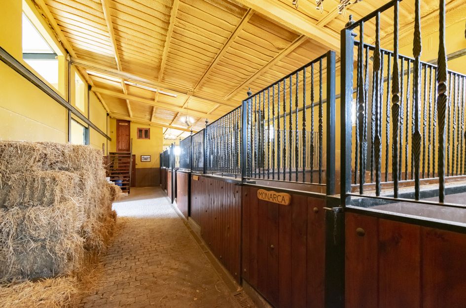 Villa in El Llano del Beal