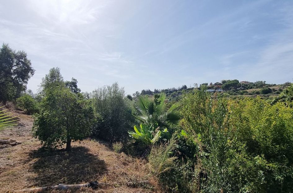 Villa in Urbanización Puerto de Estepona