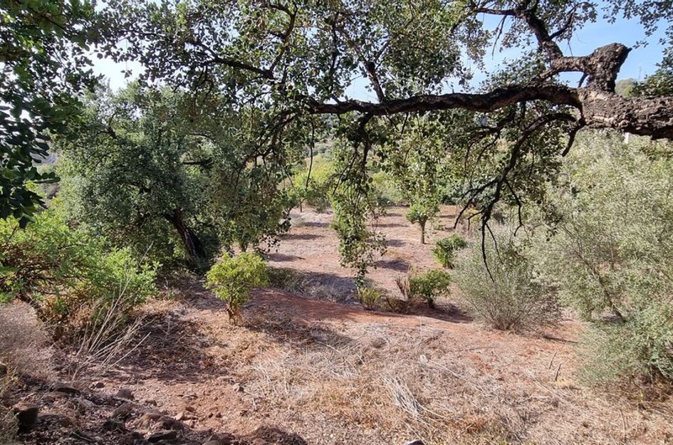 Villa in Urbanización Puerto de Estepona