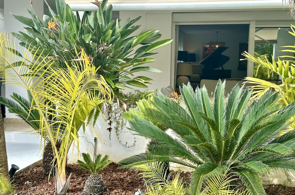 Appartement in Marbella