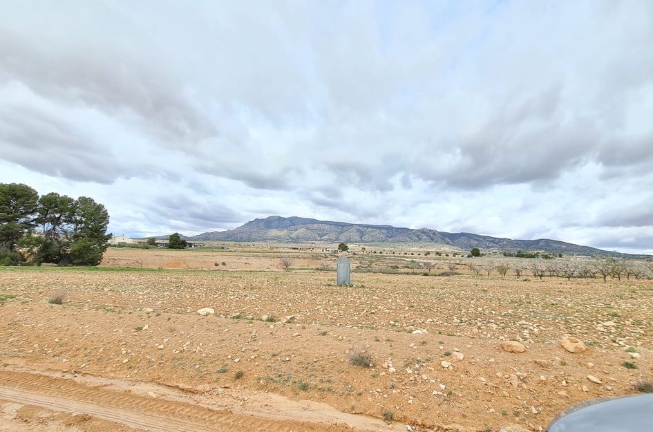 Villa in Torre del Rico