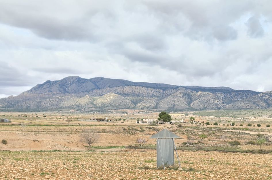 Villa in Torre del Rico