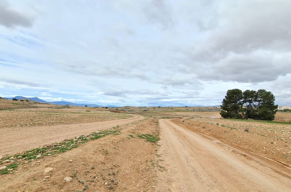 Villa in Torre del Rico