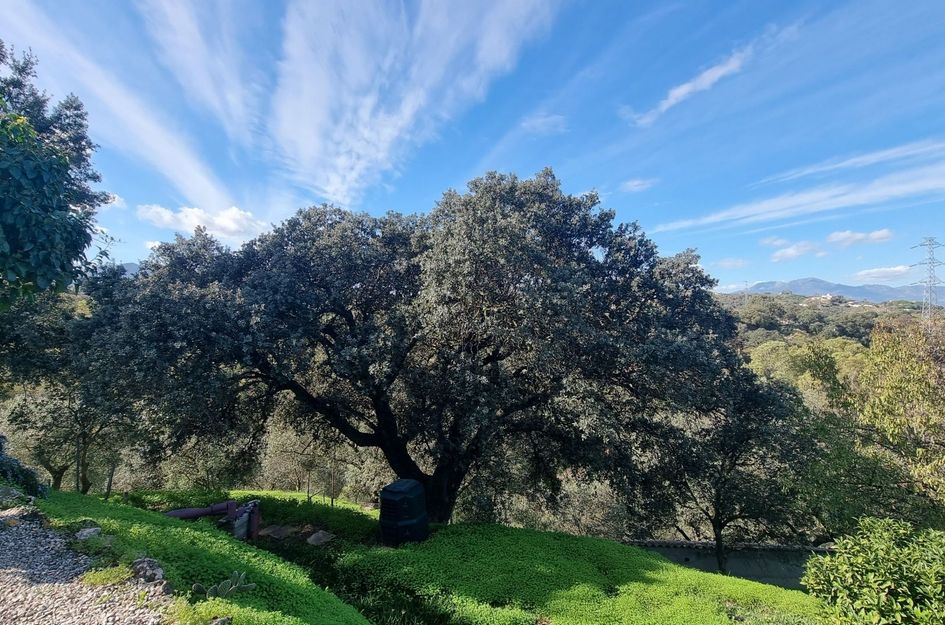 Huis in Alhaurín el Grande
