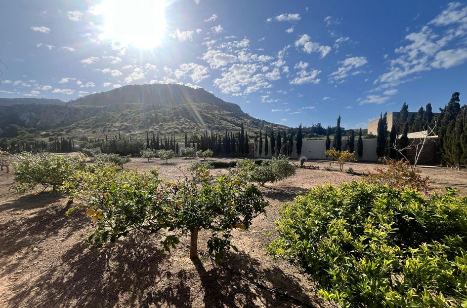 Villa in Rincón de San Ginés