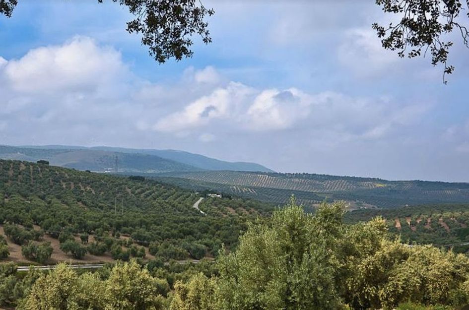 Perceel in Antequera