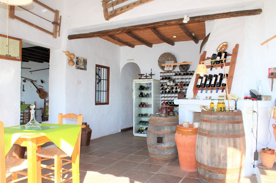 Villa in Frigiliana
