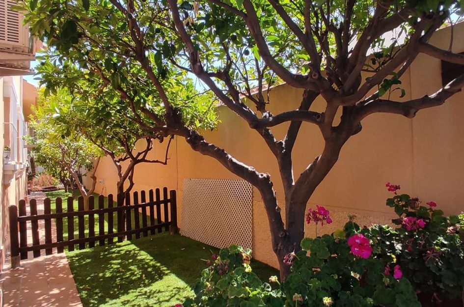 Villa in El Mirador