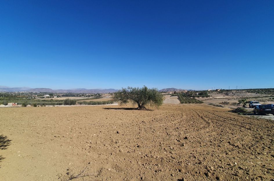 Perceel in Alhaurín el Grande