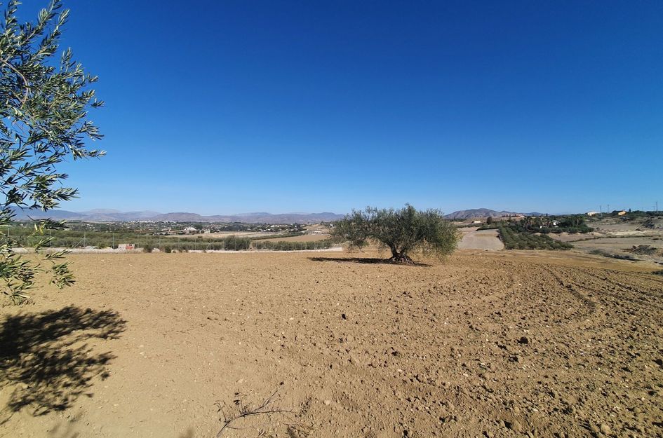 Perceel in Alhaurín el Grande