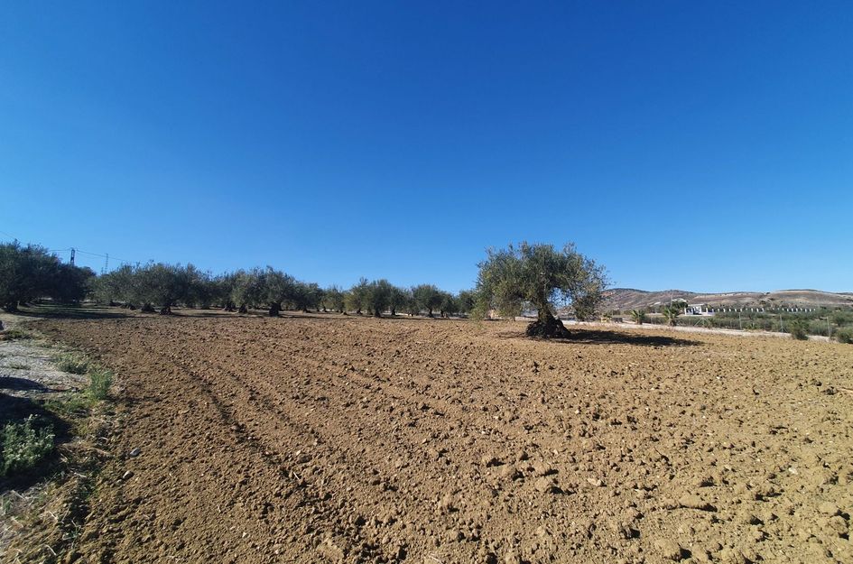 Perceel in Alhaurín el Grande