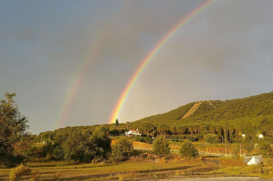 Perceel in Alhaurín el Grande
