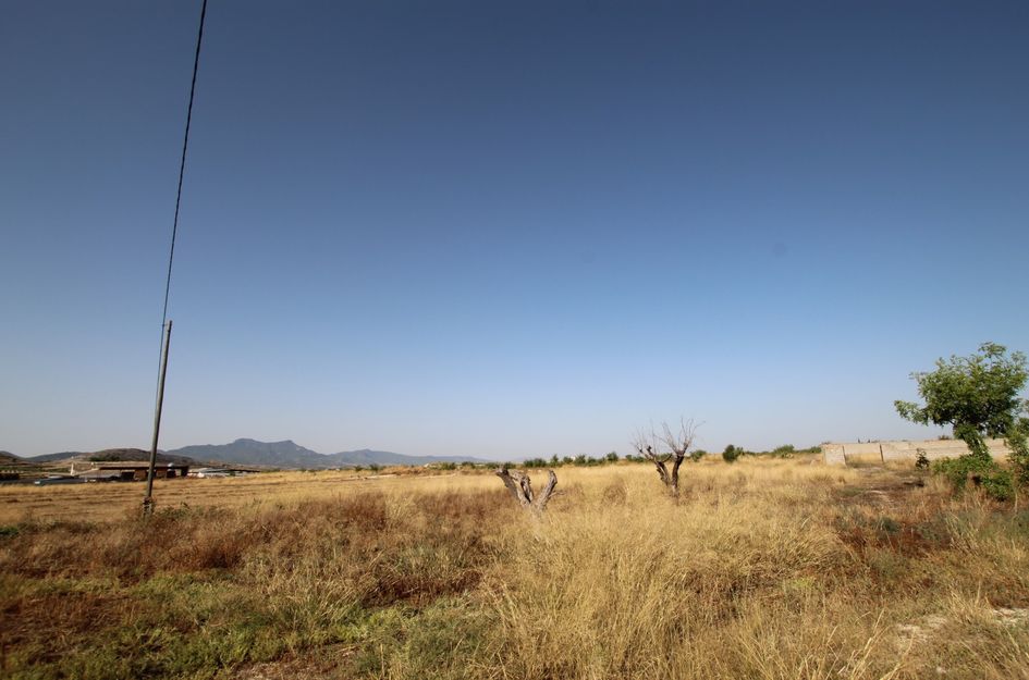 Huis in Torre del Rico