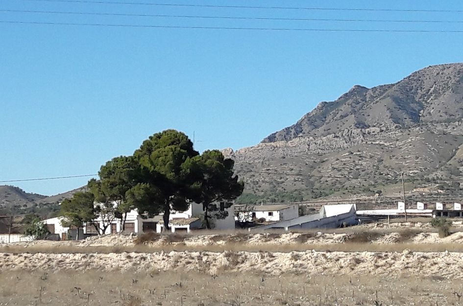 Huis in Torre del Rico