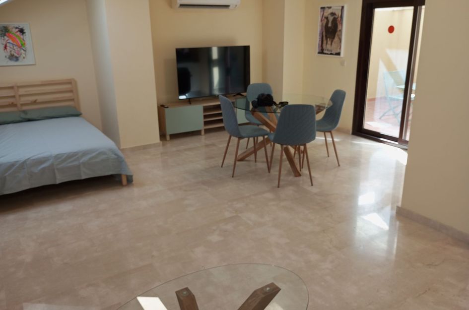 Penthouse in Málaga