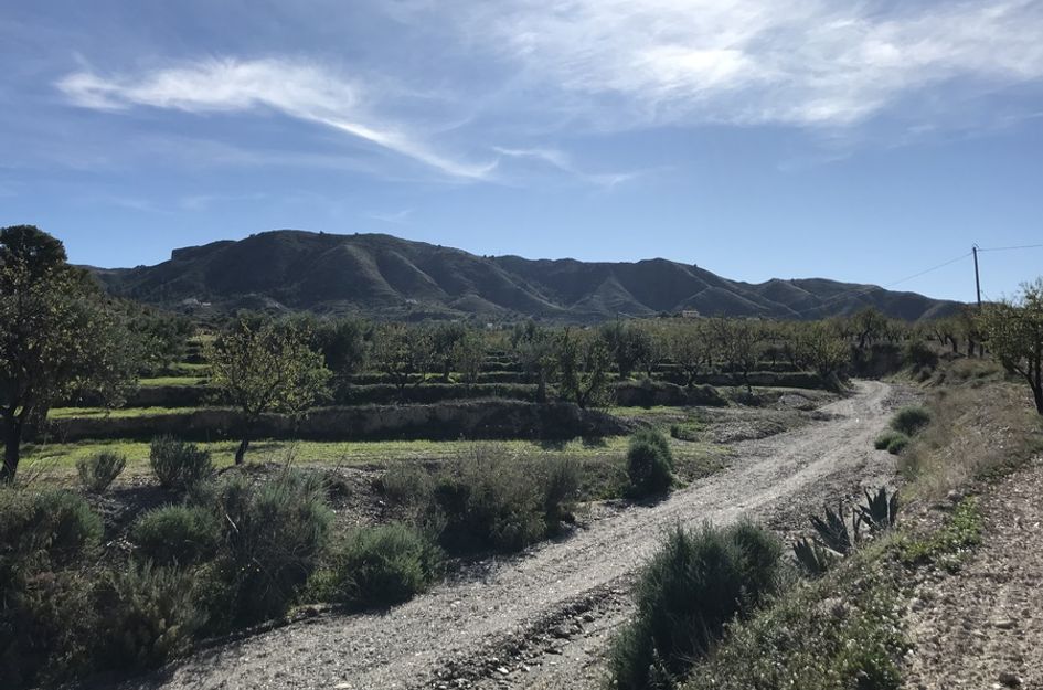Finca in Lorca