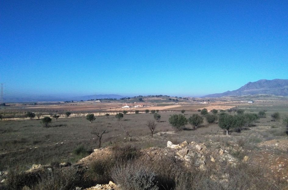 Perceel in Torre del Rico