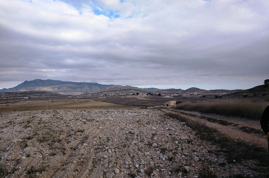 Perceel in Torre del Rico