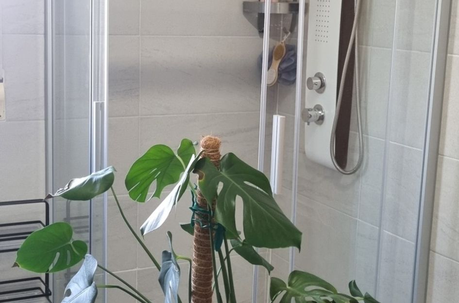 Villa in Hondón de los Frailes