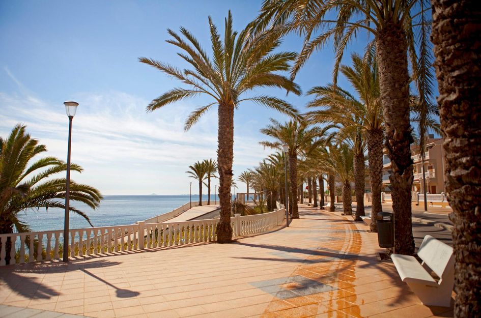 Appartement in Torre de la Horadada