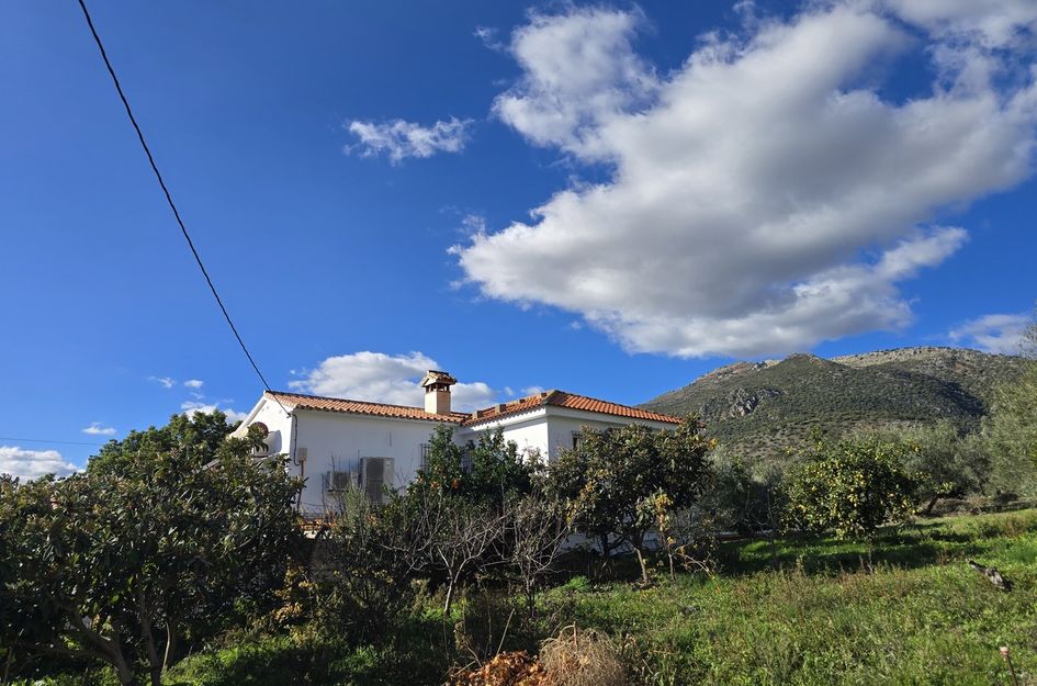 Villa in Periana