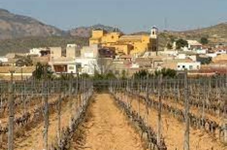 Bungalow in La Canalosa