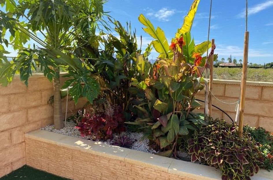 Villa in Mos del Bou