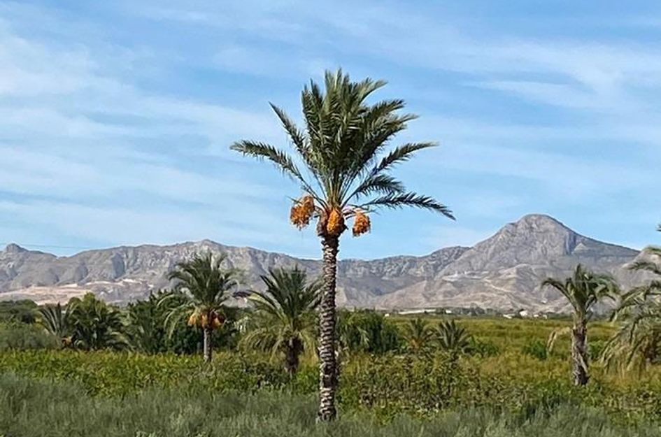 Villa in Mos del Bou