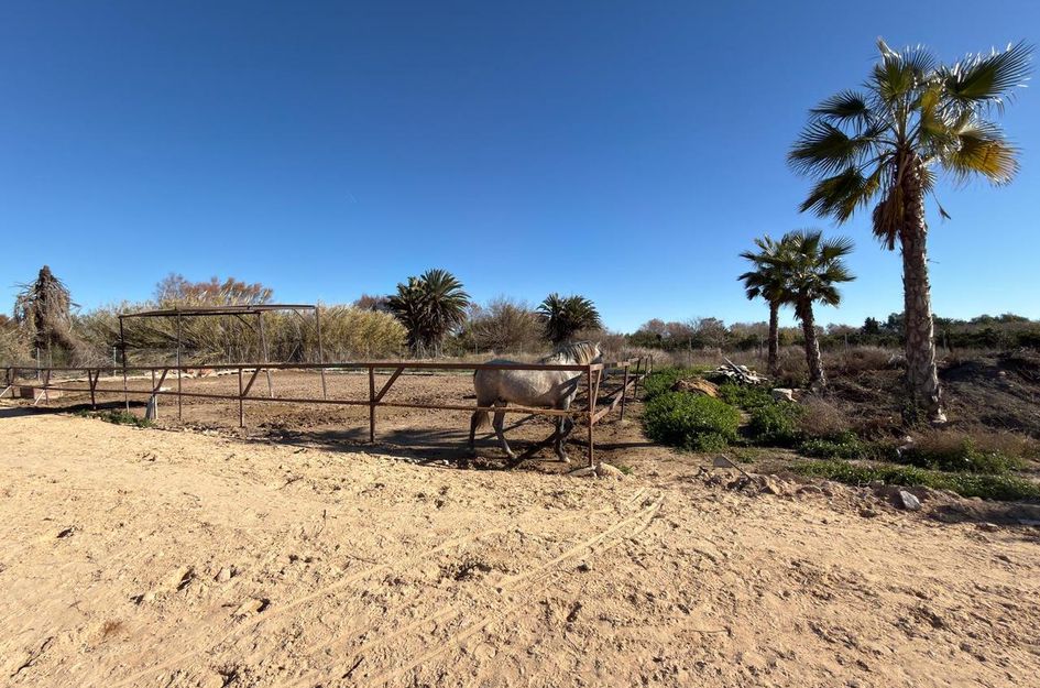 Perceel in Castillo de Montemar