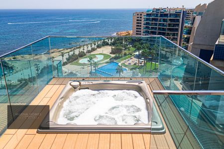 Penthouse in Torrevella