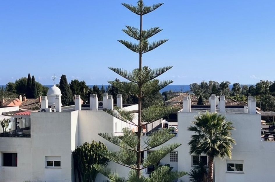 Penthouse in San Pedro de Alcántara