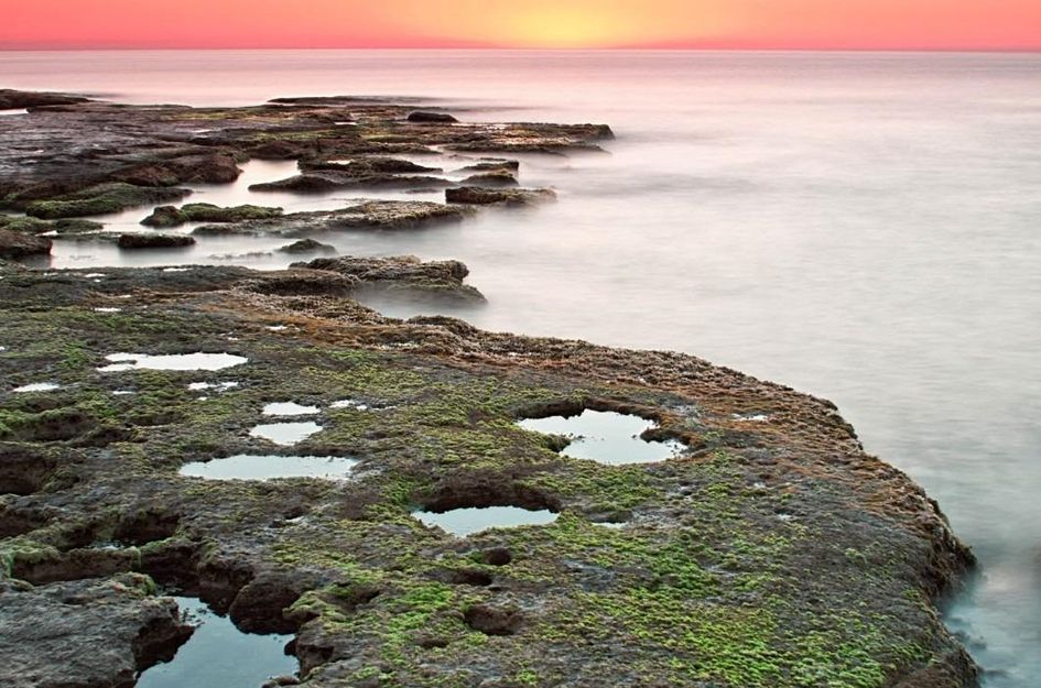 Bungalow in Torrevieja