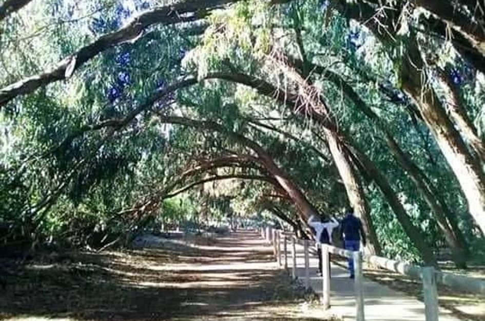 Bungalow in Torrevieja